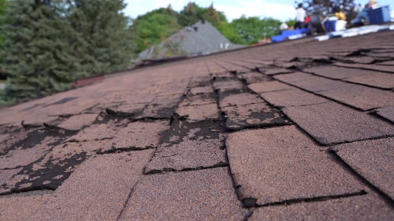 Best Roof Ventilation Installation  in Coronado, CA